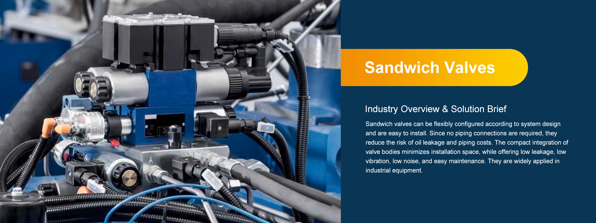 Sandwich Valve