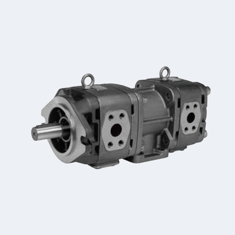 Pump combination (Single inlet and double outlet)