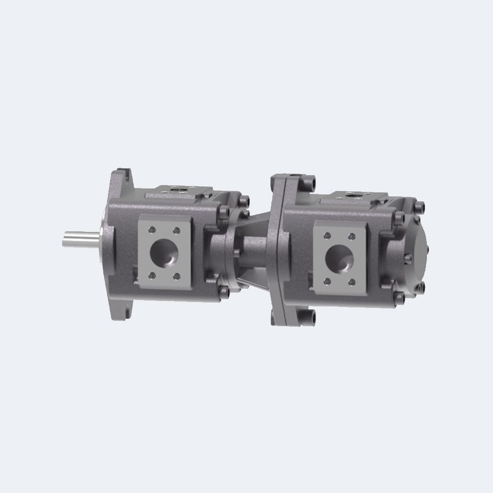 Pump combination(Double inlet and double outlet)